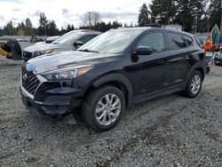 Salvage cars for sale at Graham, WA auction: 2019 Hyundai Tucson SE