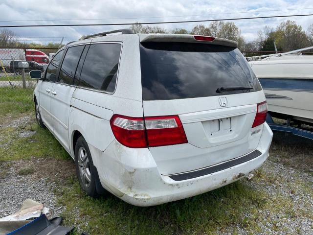 2005 Honda Odyssey EXL