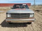 1984 Chevrolet S Truck S10