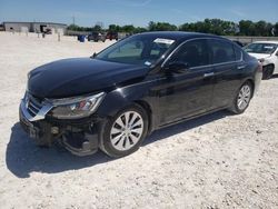 2014 Honda Accord EXL for sale in New Braunfels, TX