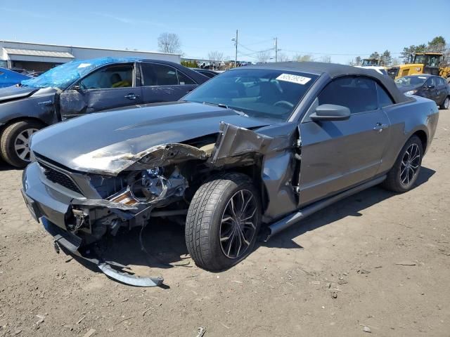 2010 Ford Mustang