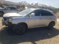 Salvage cars for sale at Reno, NV auction: 2013 Lexus RX 350 Base