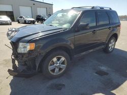 Salvage cars for sale at Assonet, MA auction: 2009 Ford Escape Limited