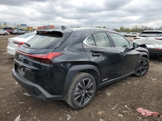 2019 Lexus UX 250H