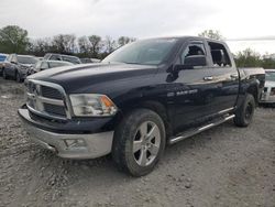 Camiones salvage para piezas a la venta en subasta: 2012 Dodge RAM 1500 SLT