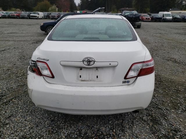 2007 Toyota Camry Hybrid