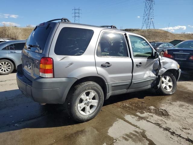 2007 Ford Escape XLT