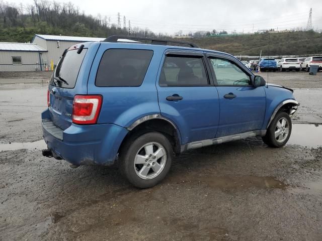 2009 Ford Escape XLT