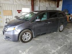 Salvage cars for sale from Copart Helena, MT: 2016 Honda Odyssey EXL