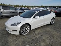 Salvage cars for sale at Antelope, CA auction: 2019 Tesla Model 3