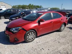 Salvage cars for sale at Lawrenceburg, KY auction: 2015 Toyota Corolla L