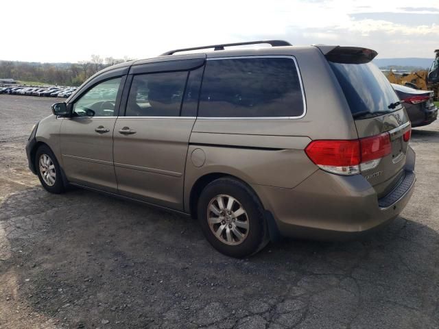 2010 Honda Odyssey EXL