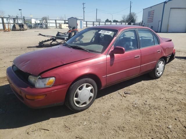 1996 Toyota Corolla DX