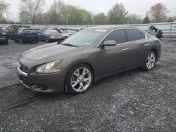 Salvage cars for sale from Copart Grantville, PA: 2012 Nissan Maxima S