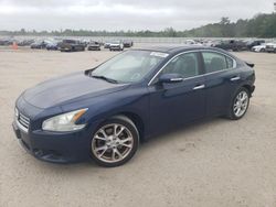 Salvage cars for sale at Harleyville, SC auction: 2014 Nissan Maxima S