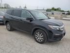 2019 Honda Pilot EXL