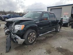 Ford salvage cars for sale: 2013 Ford F150 Supercrew