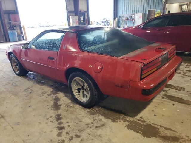 1989 Pontiac Firebird Base