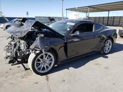 Vehiculos salvage en venta de Copart Anthony, TX: 2024 Ford Mustang GT
