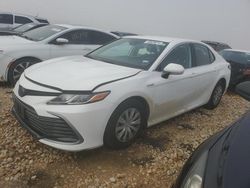 Salvage cars for sale from Copart Temple, TX: 2021 Toyota Camry LE