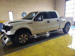 Salvage cars for sale at Indianapolis, IN auction: 2012 Ford F150 Supercrew