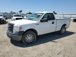 Salvage trucks for sale at Bakersfield, CA auction: 2013 Ford F150