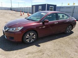 Salvage cars for sale at Greenwood, NE auction: 2013 Honda Accord LX