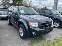 Ford Escape Hybrid salvage cars for sale: 2009 Ford Escape Hybrid