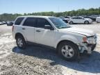 2010 Ford Escape XLS