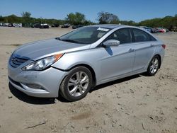 Salvage cars for sale at Baltimore, MD auction: 2013 Hyundai Sonata SE