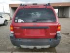 2005 Ford Escape XLT