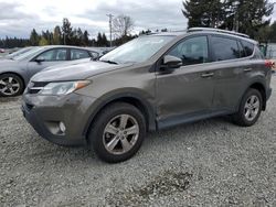 Toyota Rav4 salvage cars for sale: 2014 Toyota Rav4 XLE