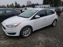 Ford Focus SE salvage cars for sale: 2015 Ford Focus SE