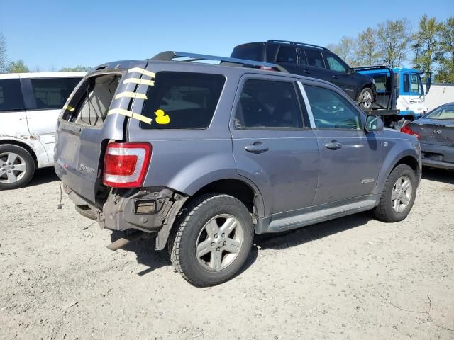 2008 Ford Escape HEV