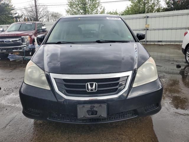 2008 Honda Odyssey EXL