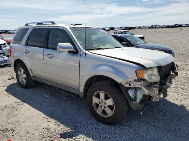 2009 Ford Escape Limited