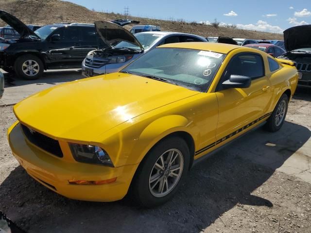 2005 Ford Mustang