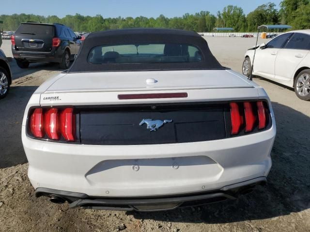 2019 Ford Mustang