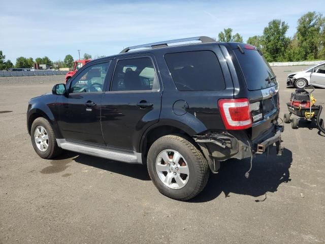 2010 Ford Escape Limited