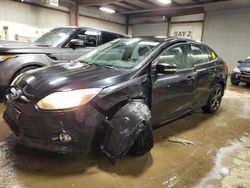 Ford Focus se salvage cars for sale: 2013 Ford Focus SE