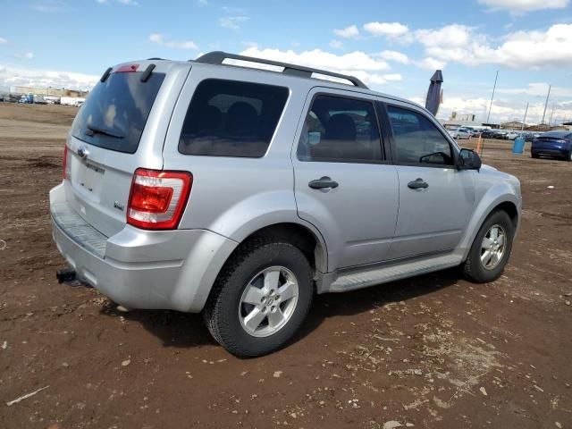 2011 Ford Escape XLT