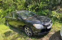 Salvage cars for sale at Ocala, FL auction: 2011 Chevrolet Malibu 1LT