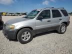 2005 Ford Escape XLT