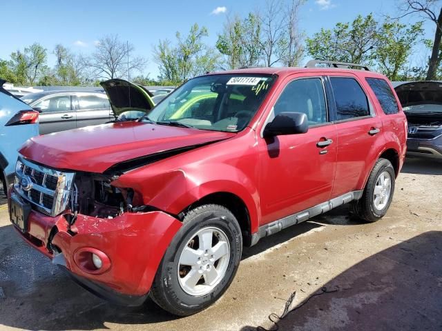 2011 Ford Escape XLT