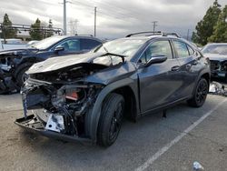 Salvage cars for sale from Copart Rancho Cucamonga, CA: 2024 Lexus UX 250H Base