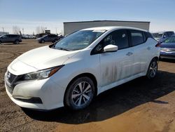 Salvage cars for sale from Copart Rocky View County, AB: 2020 Nissan Leaf S Plus