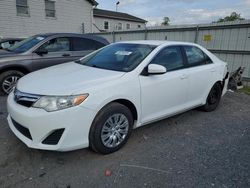 Salvage cars for sale at York Haven, PA auction: 2013 Toyota Camry L