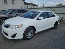 Toyota Camry L salvage cars for sale: 2013 Toyota Camry L