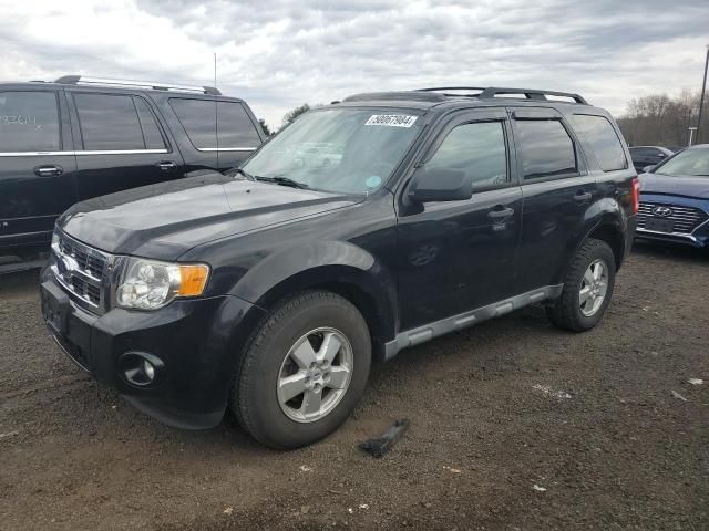 2010 Ford Escape XLT