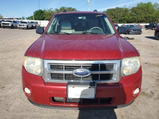 2009 Ford Escape XLT